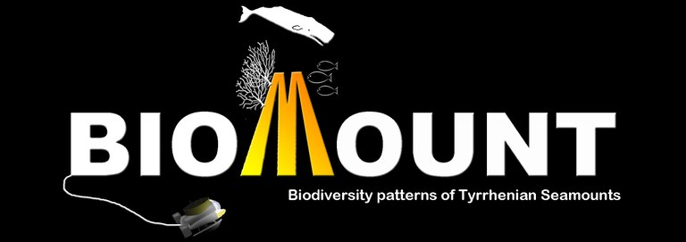 Logo BIOMOUNT Logo BIOMOUNT