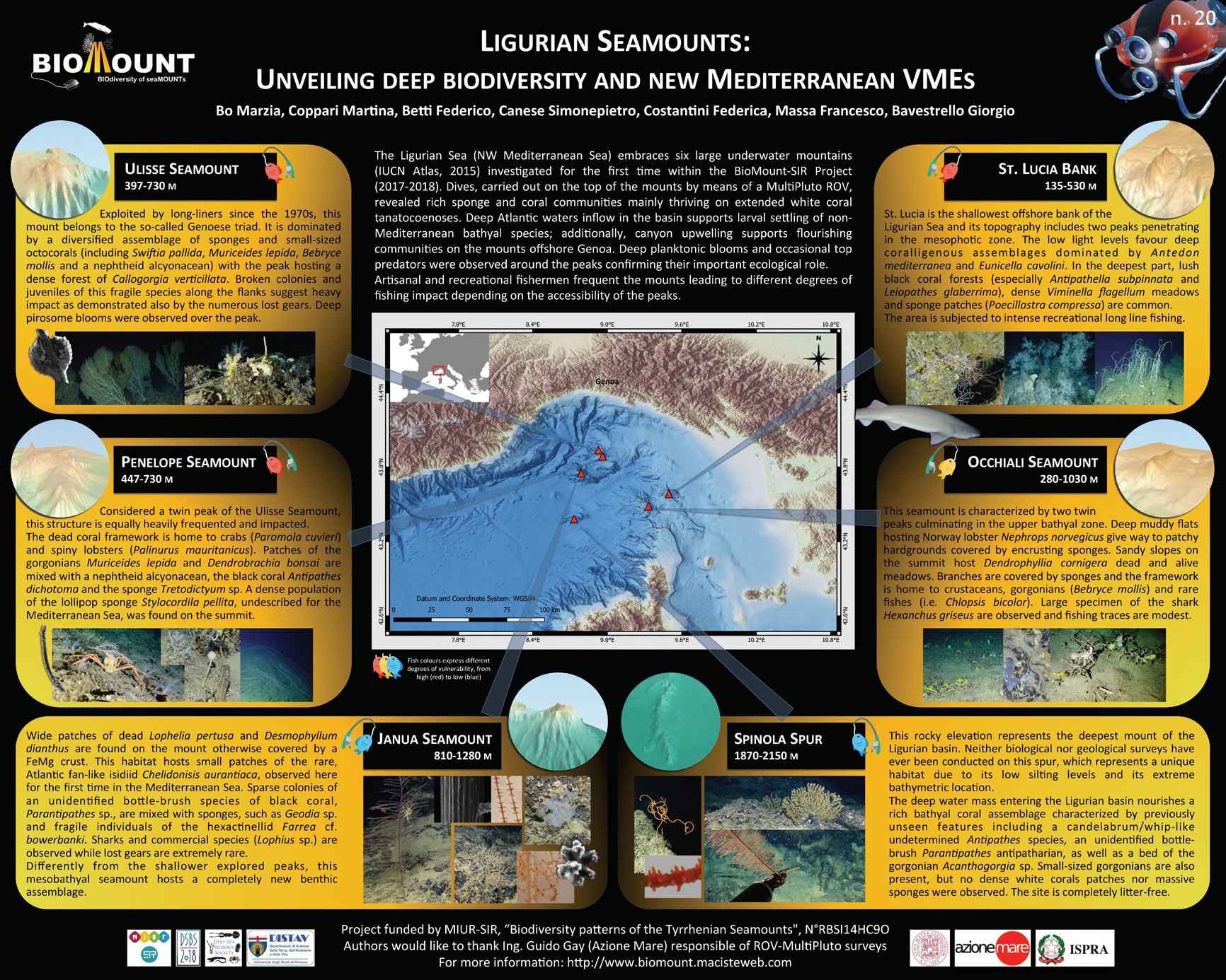 Ligurian Seamounts: unveiling deep biodiversity and new Mediterranean VMEs