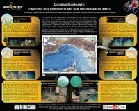 Ligurian Seamounts: unveiling deep biodiversity and new Mediterranean VMEs