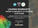 Ligurian seamounts: known vulnerability of unknown ecosystems
